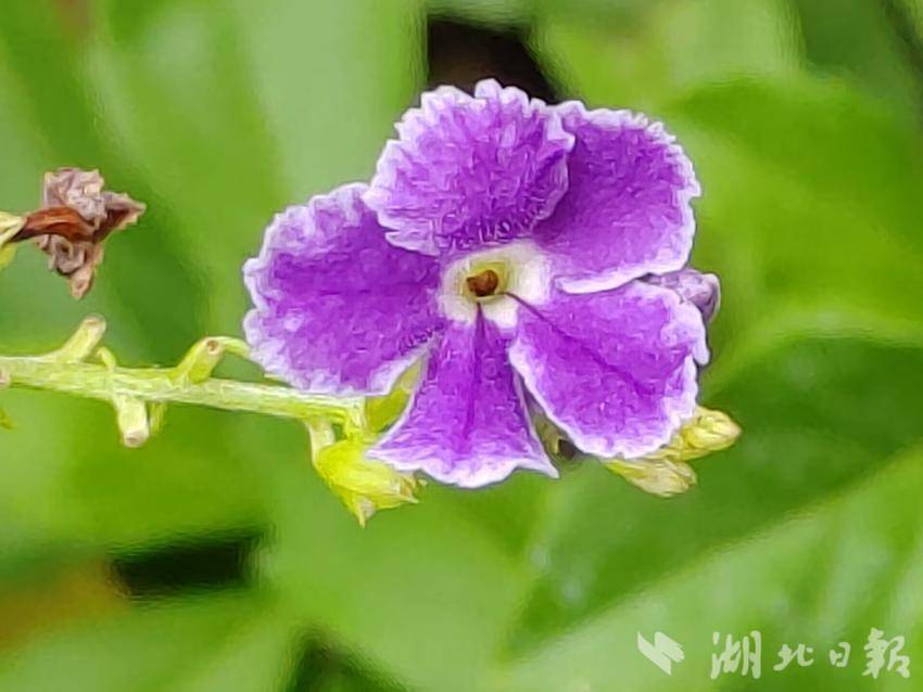 利博网址平台登录